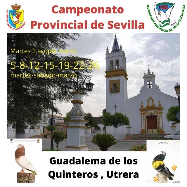 Comunidad Sevillana 2022