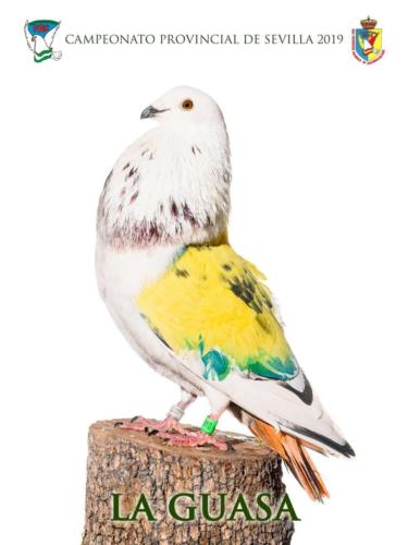 001 la-guasa ana1052-rct-fondo-texto-96ppp