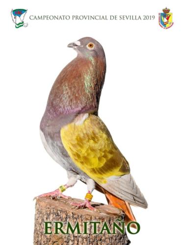 036 ermita-o ana1199-rct-fondo-texto-96ppp