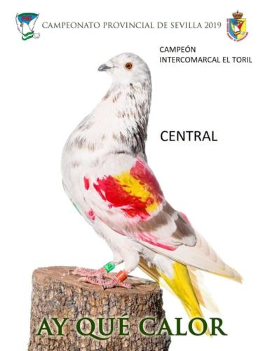 ay-que-calor ana1059-rct-rtq-fondo-texto-96ppp