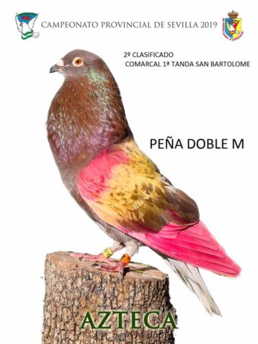 azteca ana1310-rct-rtq-fondo-texto-96ppp