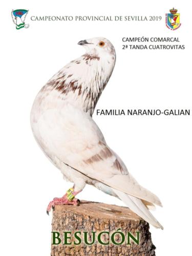 besucon ana1187-rct-fondo-texto-96ppp