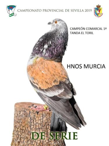 de-serie ana1087-rct-fondo-texto-96ppp