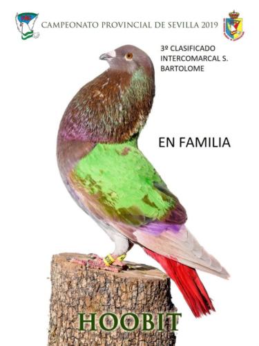 hoobit ana1341-rct-fondo-texto-96ppp