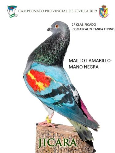 jicara ana1111-rct-fondo-texto-96ppp