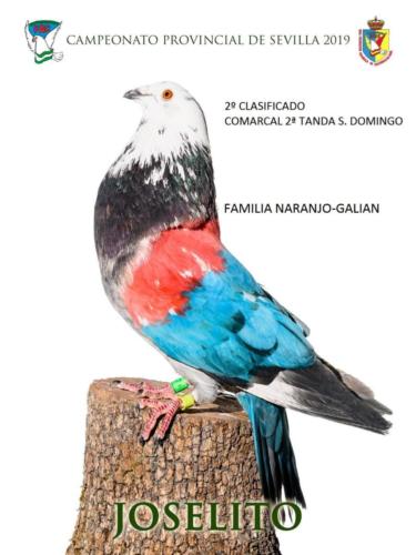 joselito ana1202-rct-fondo-texto-96ppp