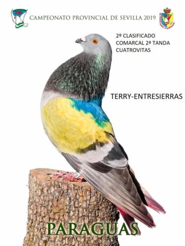 paraguas ana1356-rct-fondo-texto-96ppp