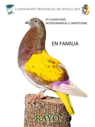 rayo ana1339-rct-fondo-texto-96ppp