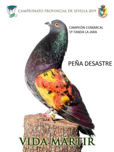 vida-martir ana1274-rct-fondo-texto-96ppp