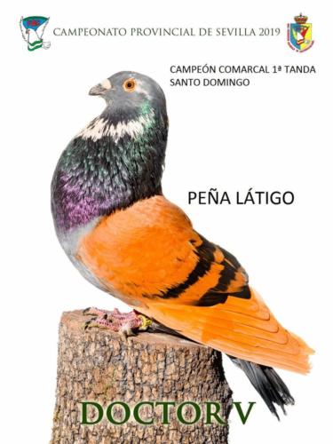 doctor-v ana1267-rct-fondo-texto-96ppp.jpg