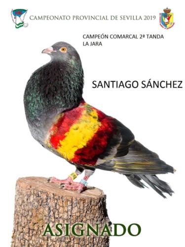 asignado ana1223-rct-fondo-texto-96ppp