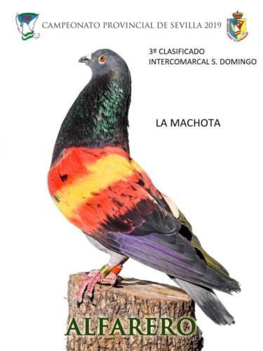 alfarero ana1319-rct-fondo-texto-96ppp