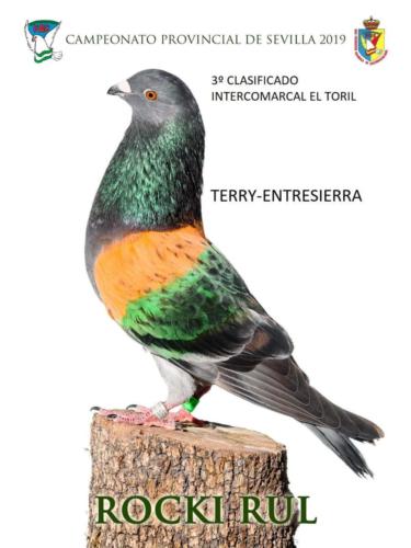 rocki-rul ana1358-rqt-fondo-texto-96ppp