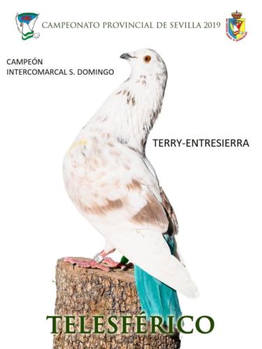 telesferico ana1352-rct-fondo-texto-96ppp