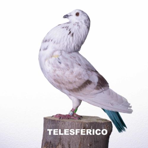 telesferico