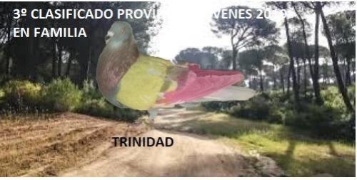 trinidad