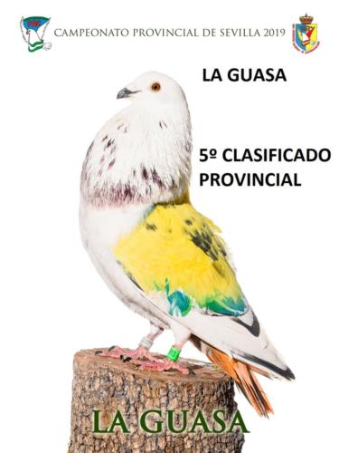 001 LA-GUASA ANA1052-rct-fondo-texto-96ppp e069vlut