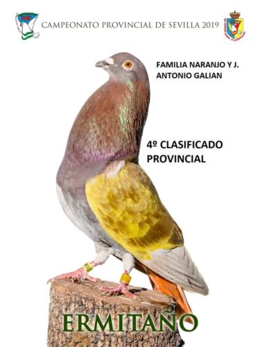 036 ERMITA-O ANA1199-rct-fondo-texto-96ppp w756qplg