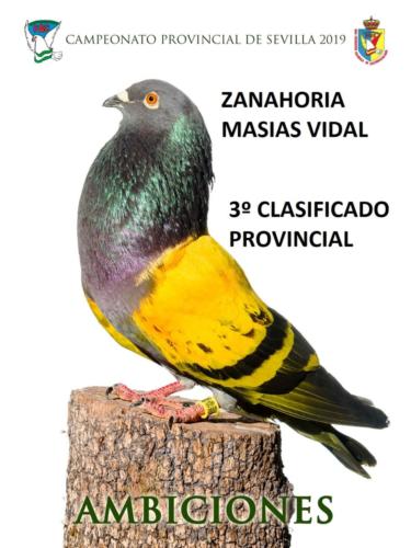 088 AMBICIONES ANA1347-rct-fondo-texto-96ppp i72x51ys