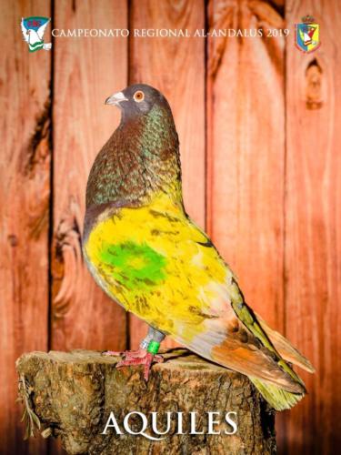 045 aquiles ana9195 1-texto