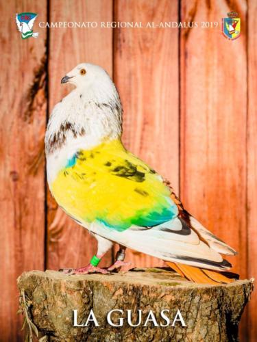 047 la-guasa ana9199 1-texto