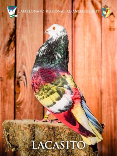 057 lacasito ana9242 1-texto