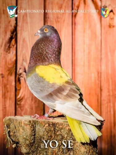 059 yo-s- ana9253 1-texto