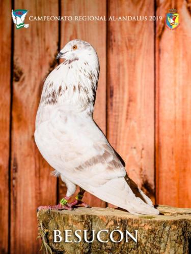 060 besuc-n ana9256 1-texto