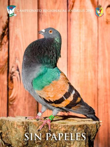 067 sin-papeles ana9280 1-texto