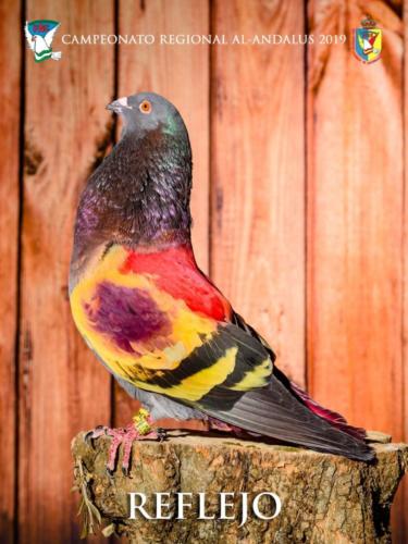 068 reflejo ana9285 1-texto