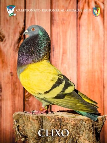 069 clixo ana9288-rtq-rct 1-texto