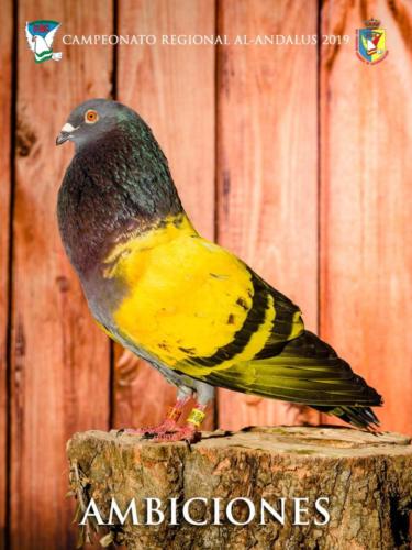 073 ambiciones ana9316-rtq-rct 1-texto