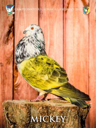 077 mickey ana9334 1-texto