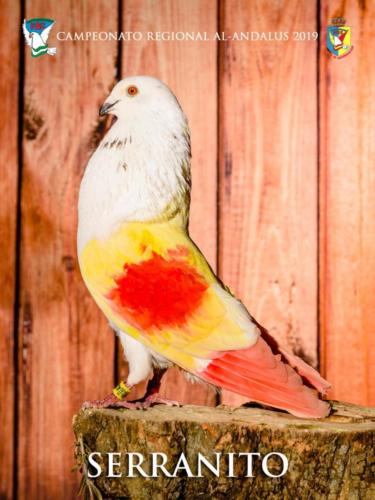 083 serranito ana9360 1-texto