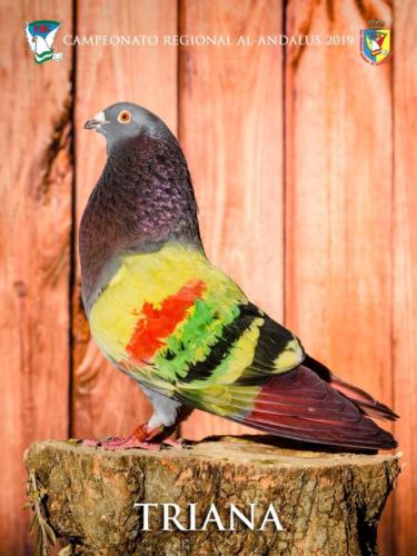 086 triana ana9376 1-texto