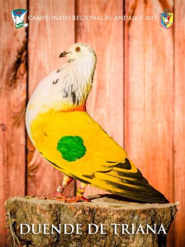 087 duende-de-triana ana9382 1-texto