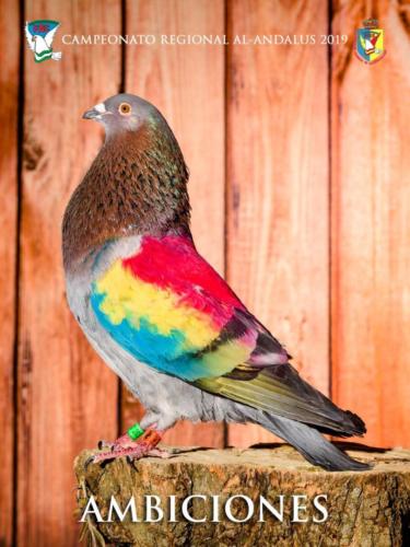 091 ambiciones ana9397 1-texto