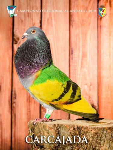 093 carcajada ana9405 1-texto