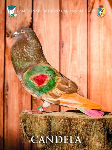 098 candela ana9414 1-texto