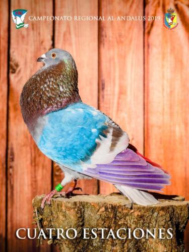 099 cuatro-estaciones ana9416 1-texto