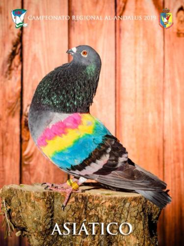 101 asi-tico ana9425 1-texto