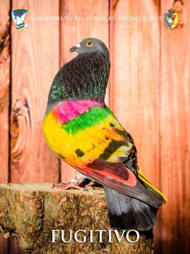 102 fugitivo ana9429-rtq-rct 1-texto