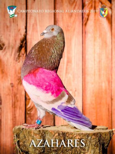 105 azahares ana9437 1-texto